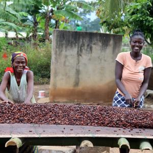 two women sorting cocoa beans