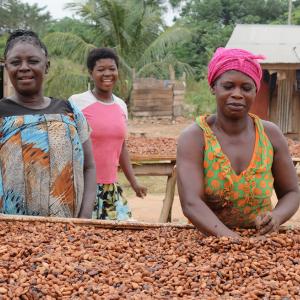 women sorting cocoa beans