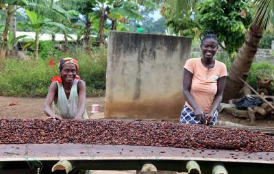 two women sorting cocoa beans