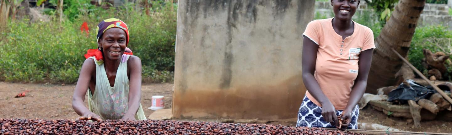 two women sorting cocoa beans